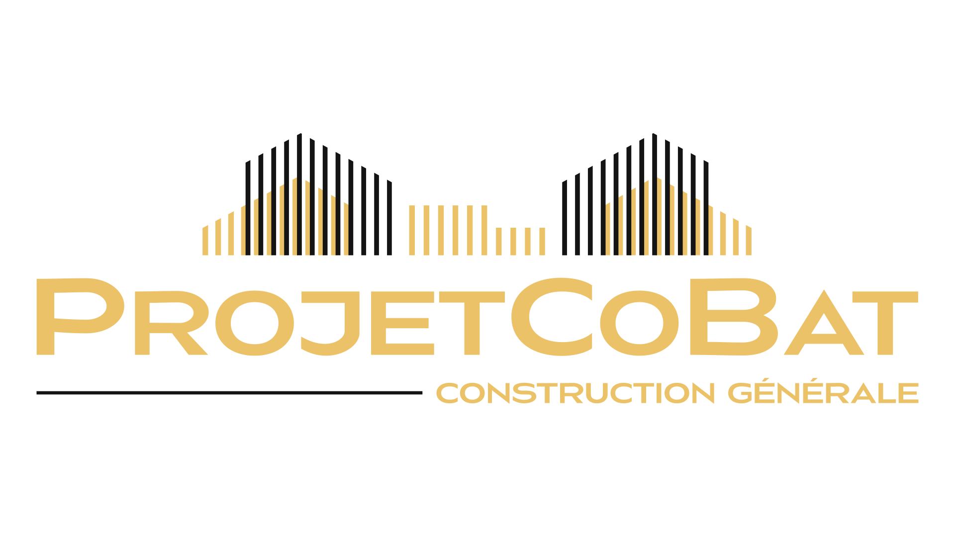 Projet Cobat